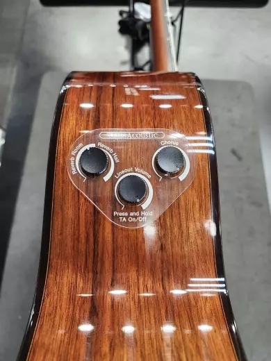 Store Special Product - Yamaha - CGTA NT